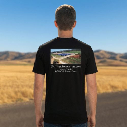 Optimal Triblend - Image 2